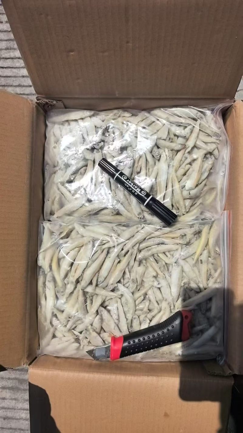 黄鱼