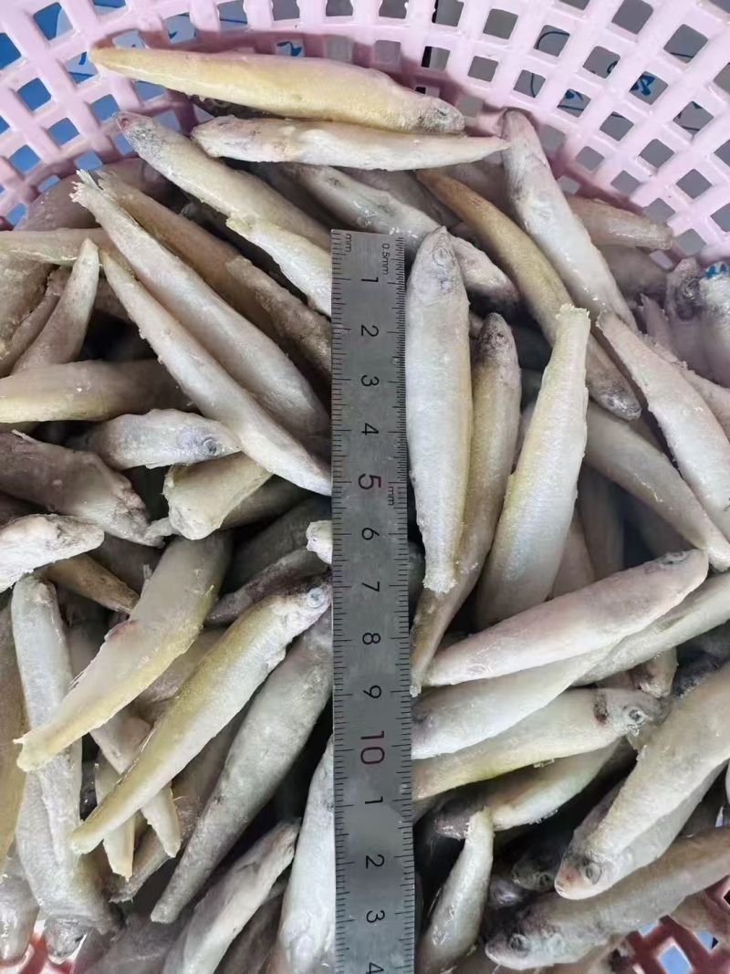 黄鱼