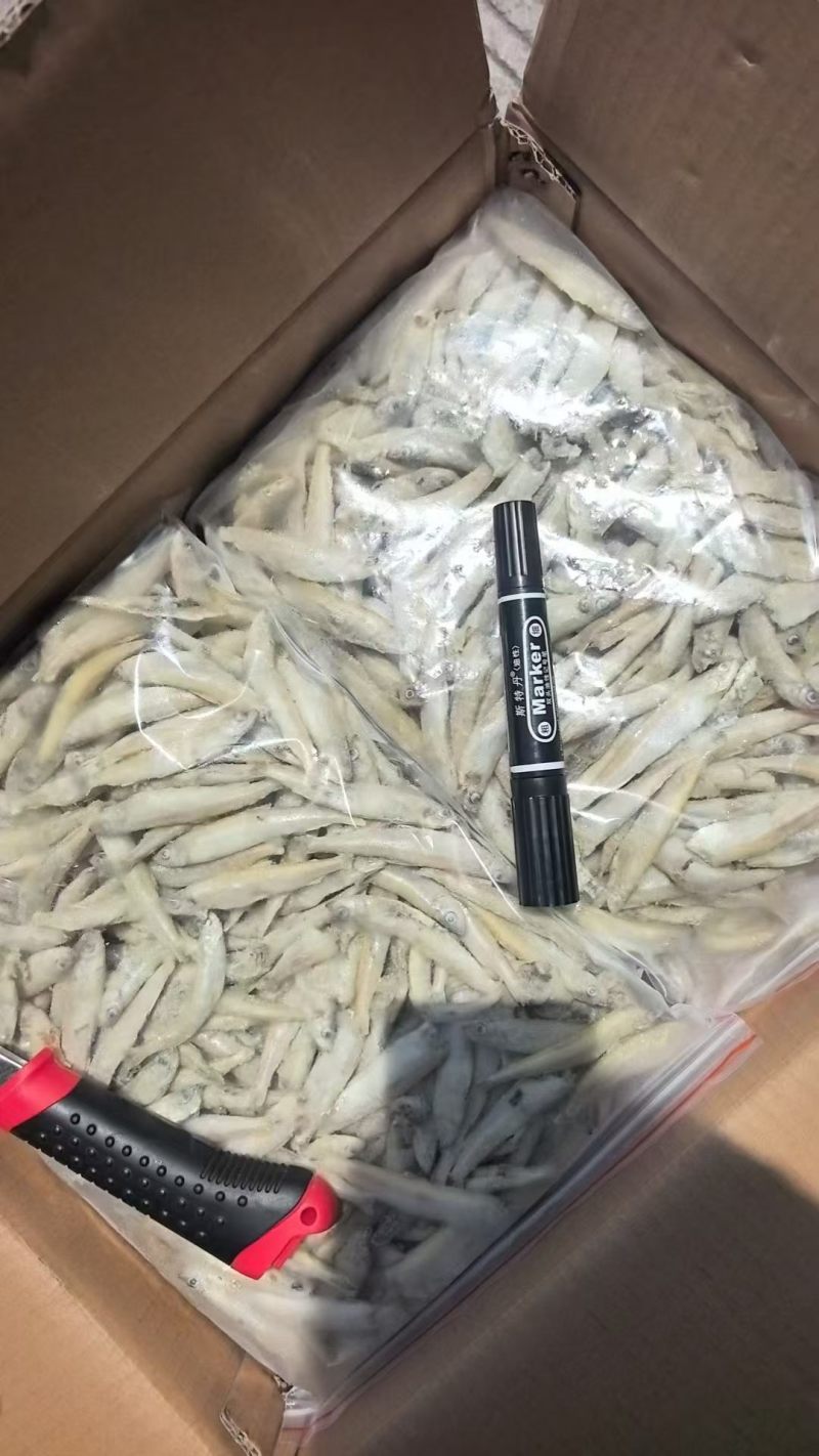 黄鱼