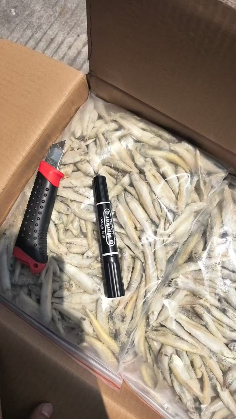黄鱼