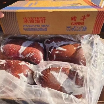 猪肝