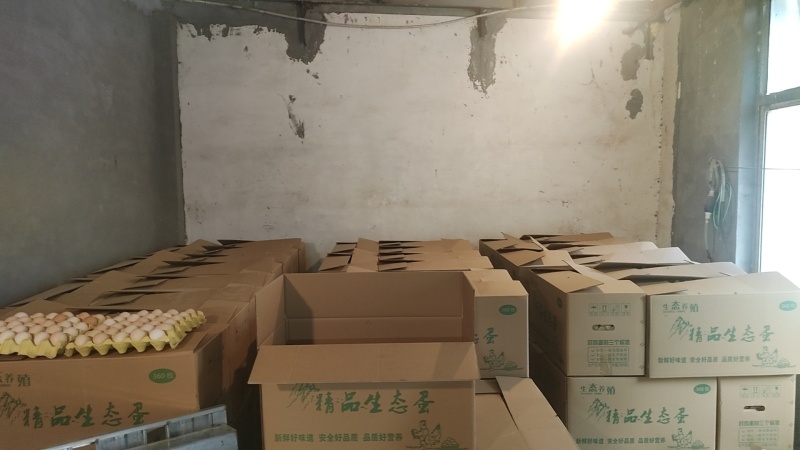 粉蛋农三
