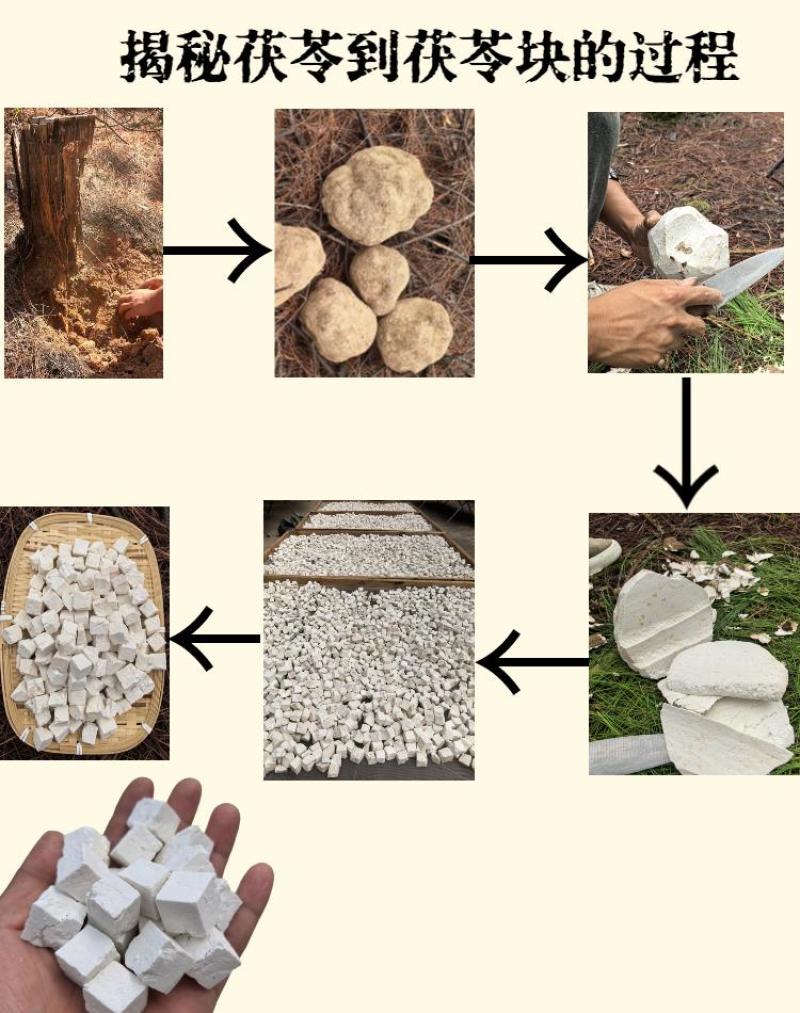 茯苓（甄选核心产区优质茯苓，肉质紧实、纹理细腻）