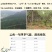 茯苓（甄选核心产区优质茯苓，肉质紧实、纹理细腻）