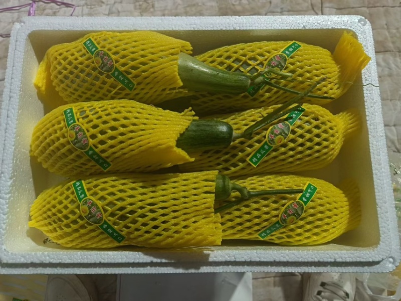 潍坊羊角蜜对接电商多多抖音淘宝一件代发电商主播团购批发