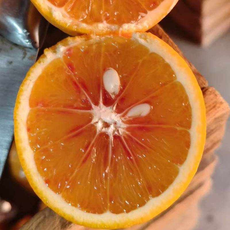 卡拉科血橙