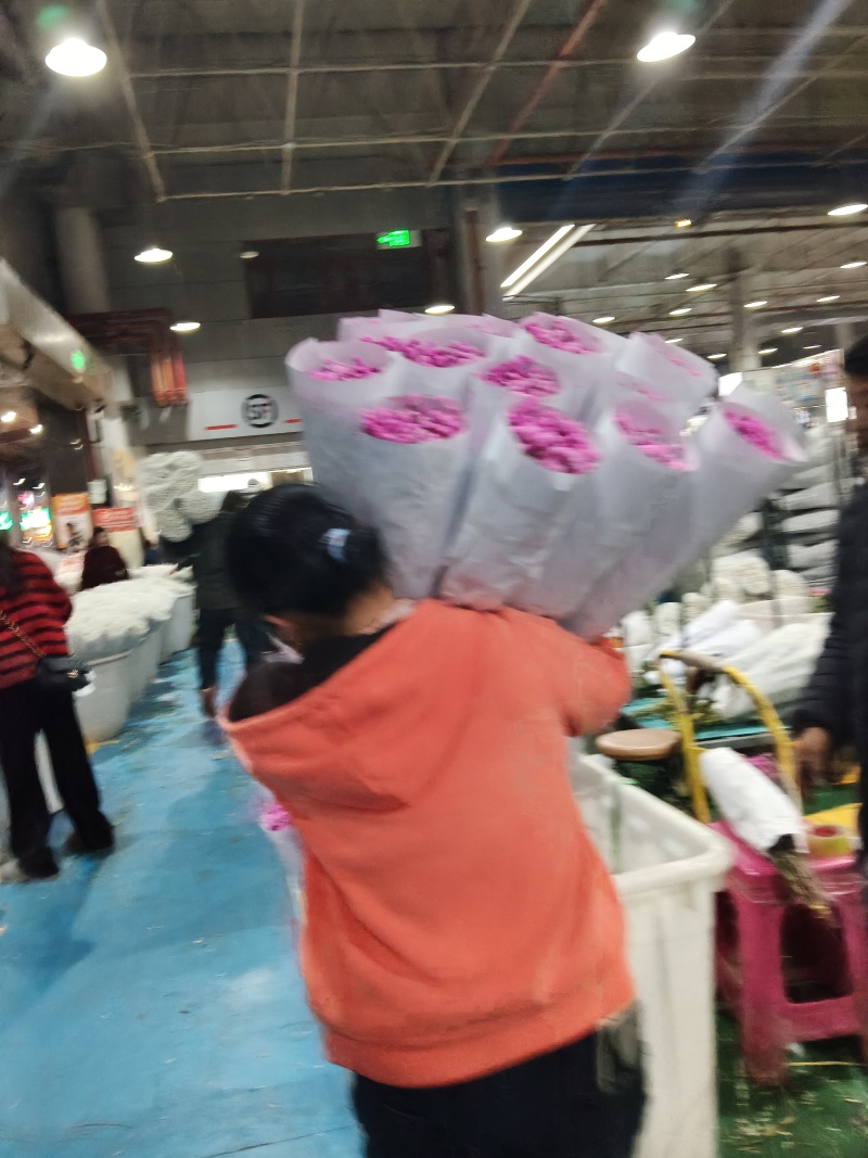 满天星批发