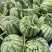甜王西瓜🍉汁多味美产地直发品质保障量大从优可视频看货