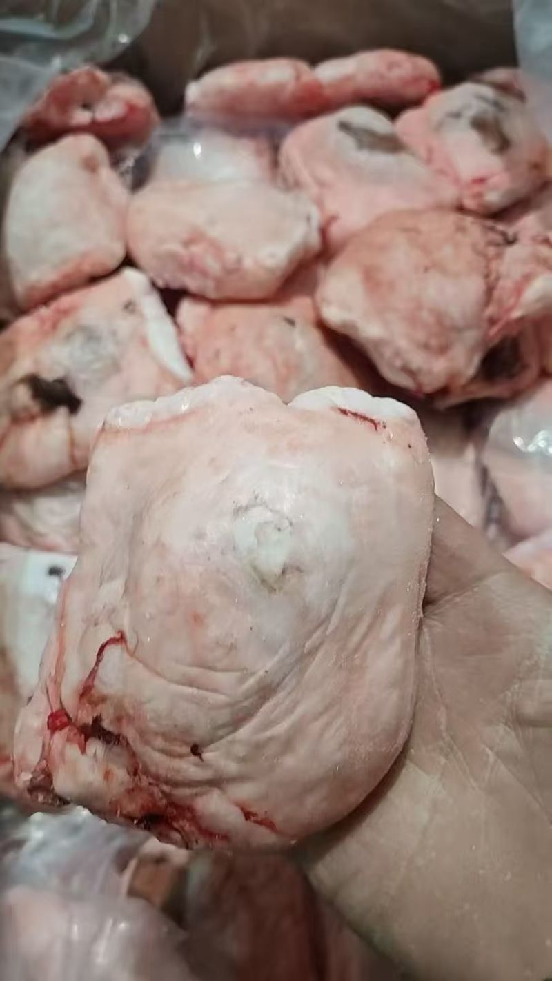 荷包蛋羊腰原油羊腰