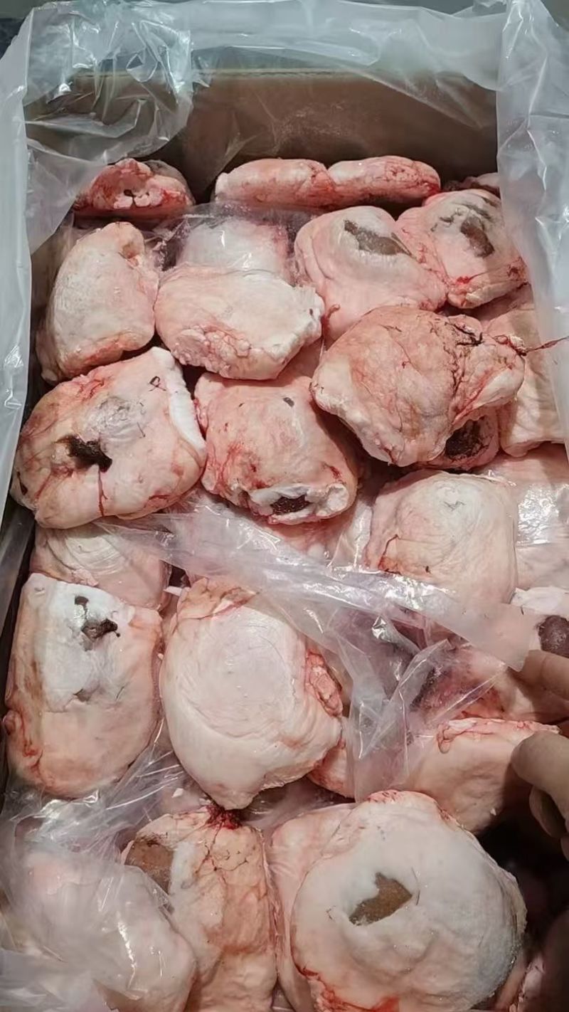 荷包蛋羊腰原油羊腰