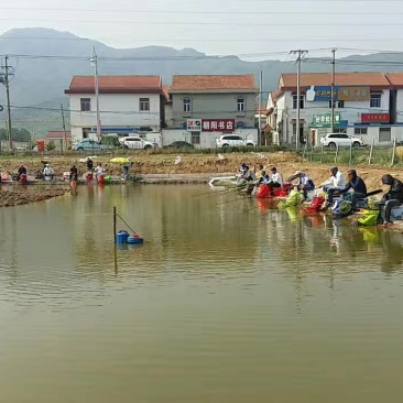 鱼塘转让