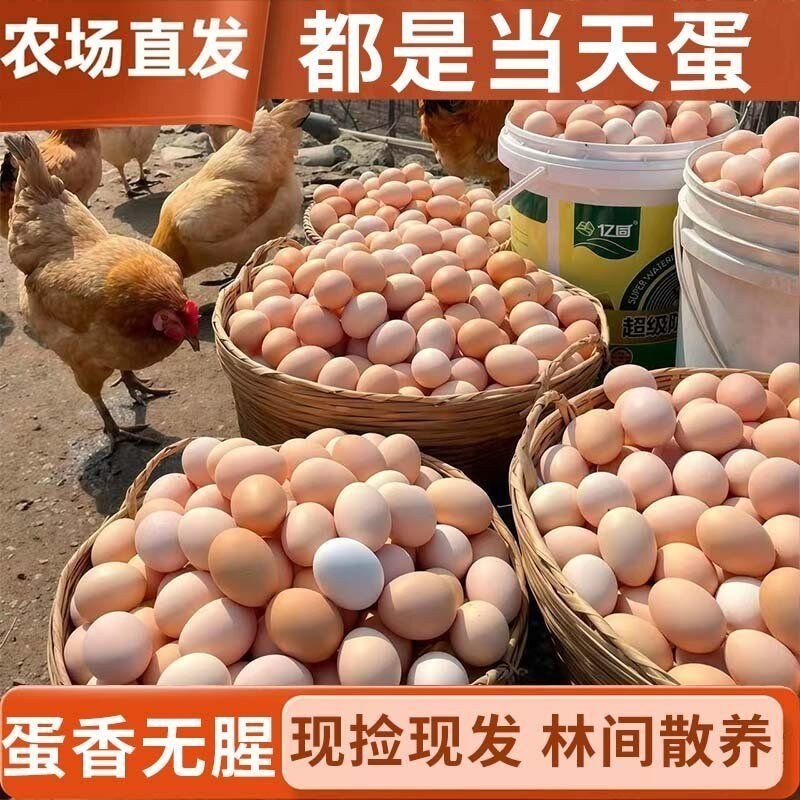 【农场直发送货】竹林散养农家新鲜现捡土鸡蛋本地土鸡蛋