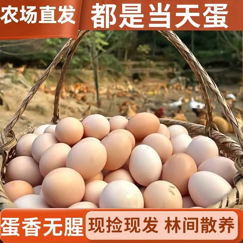 【农场直发送货】竹林散养农家新鲜现捡土鸡蛋本地土鸡蛋