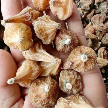 云南冰球子干货品质货量大优惠