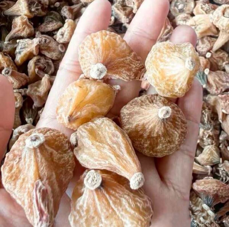 云南冰球子干货品质货量大优惠