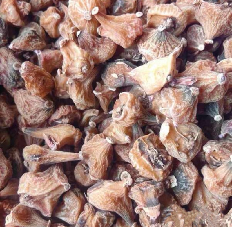 云南冰球子干货品质货量大优惠