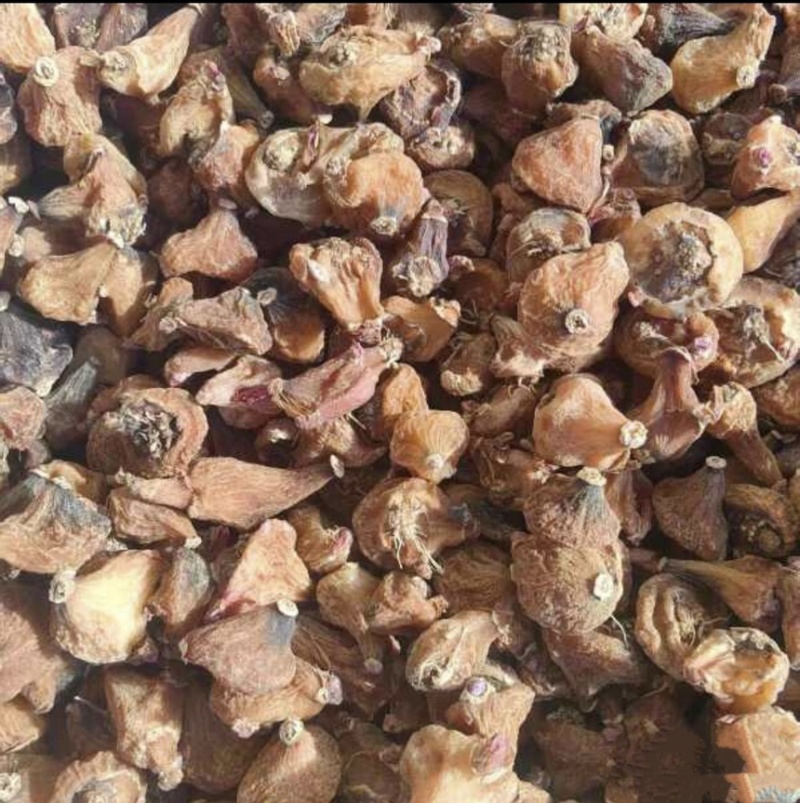云南冰球子干货品质货量大优惠