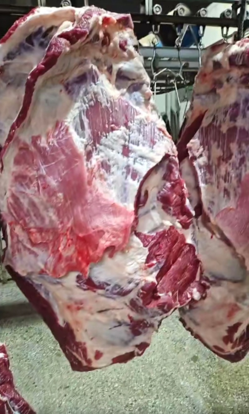 全肉