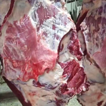 全肉