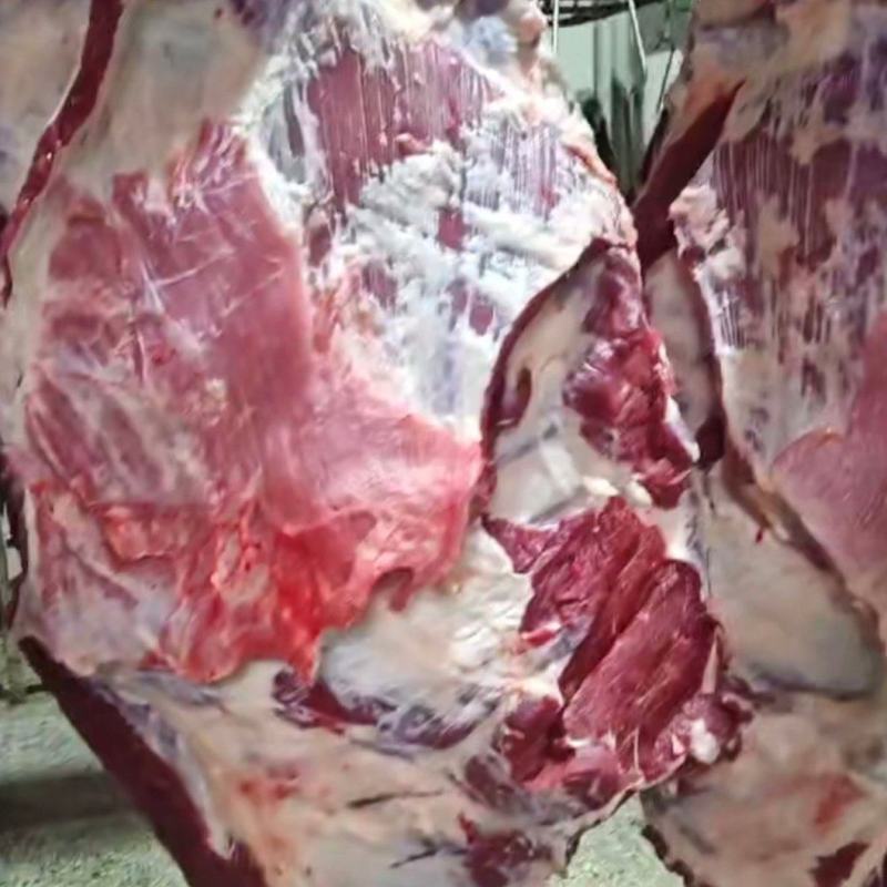 全肉