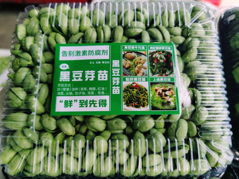 精1品盒6黑6豆苗1货源3长年7稳定8所见76即所得78