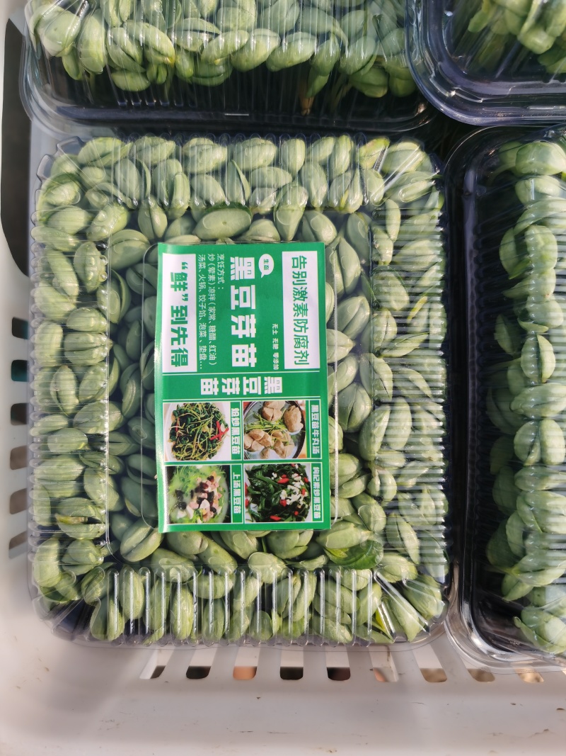 精1品盒6黑6豆苗1货源3长年7稳定8所见76即所得78