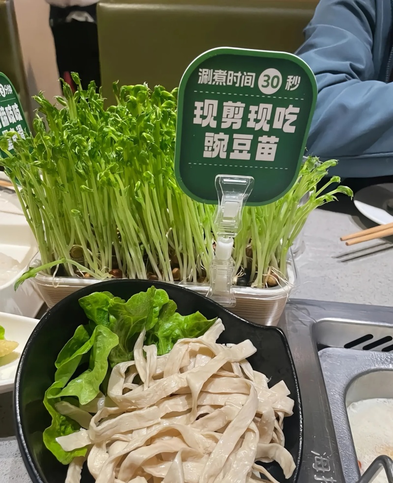 精1品盒66豌豆苗1所见即所得378质量保证