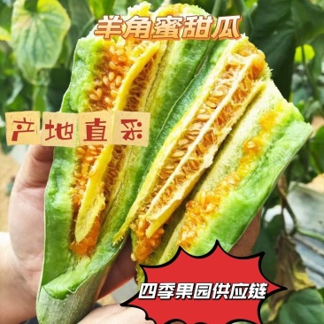 精品羊角蜜大量上市有需要的老板联系一手货源，欢迎咨询