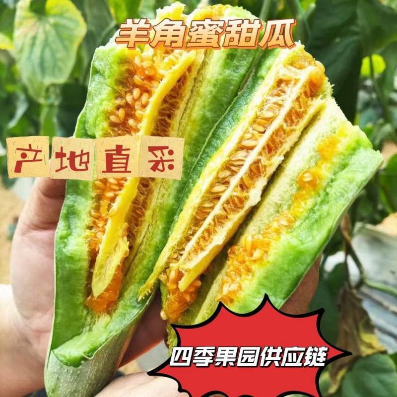 精品羊角蜜大量上市有需要的老板联系一手货源，欢迎咨询