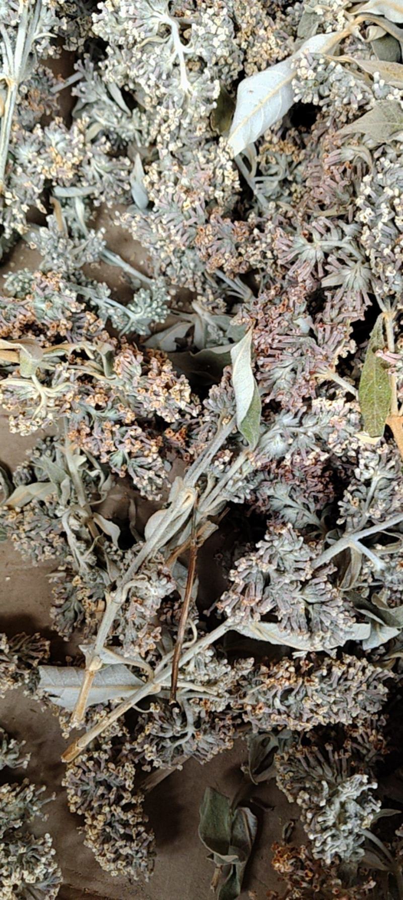 云南野生染饭花可染米饭中药材密蒙花可煲汤可以盆景可入药
