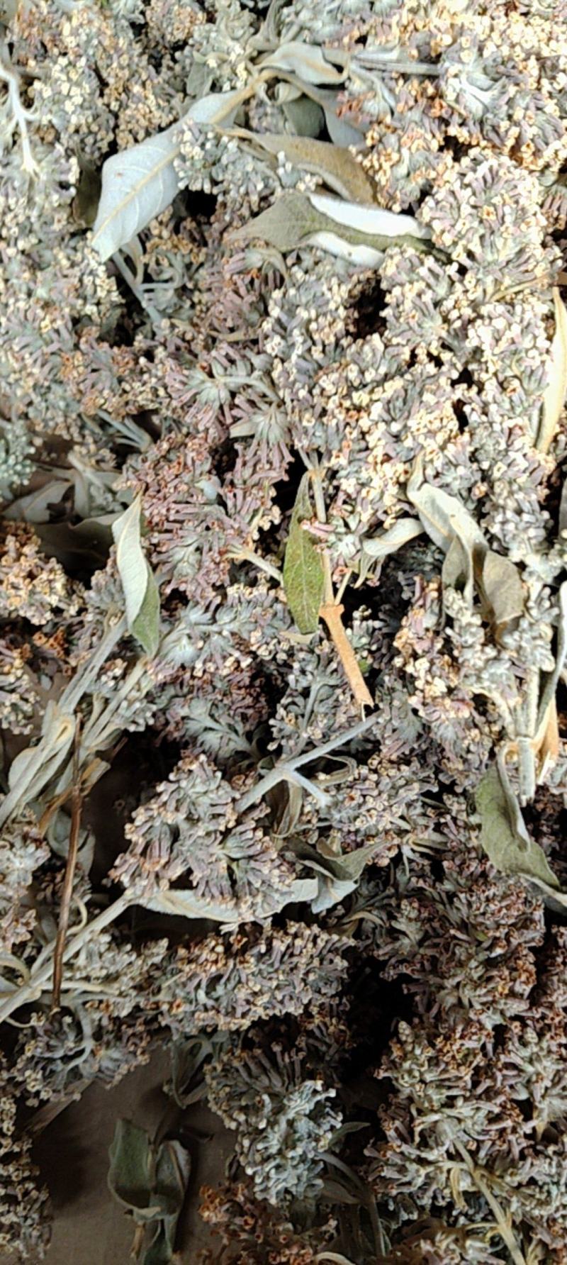 云南野生染饭花可染米饭中药材密蒙花可煲汤可以盆景可入药