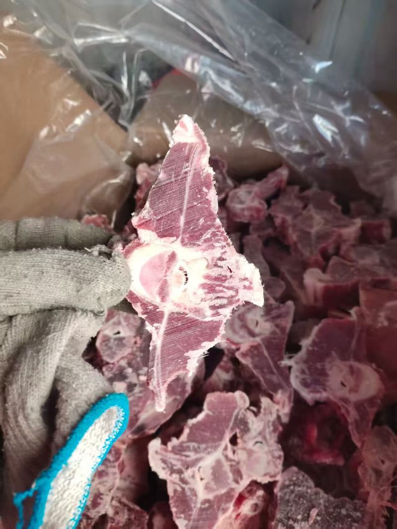 呼唤满肉羊蝎子