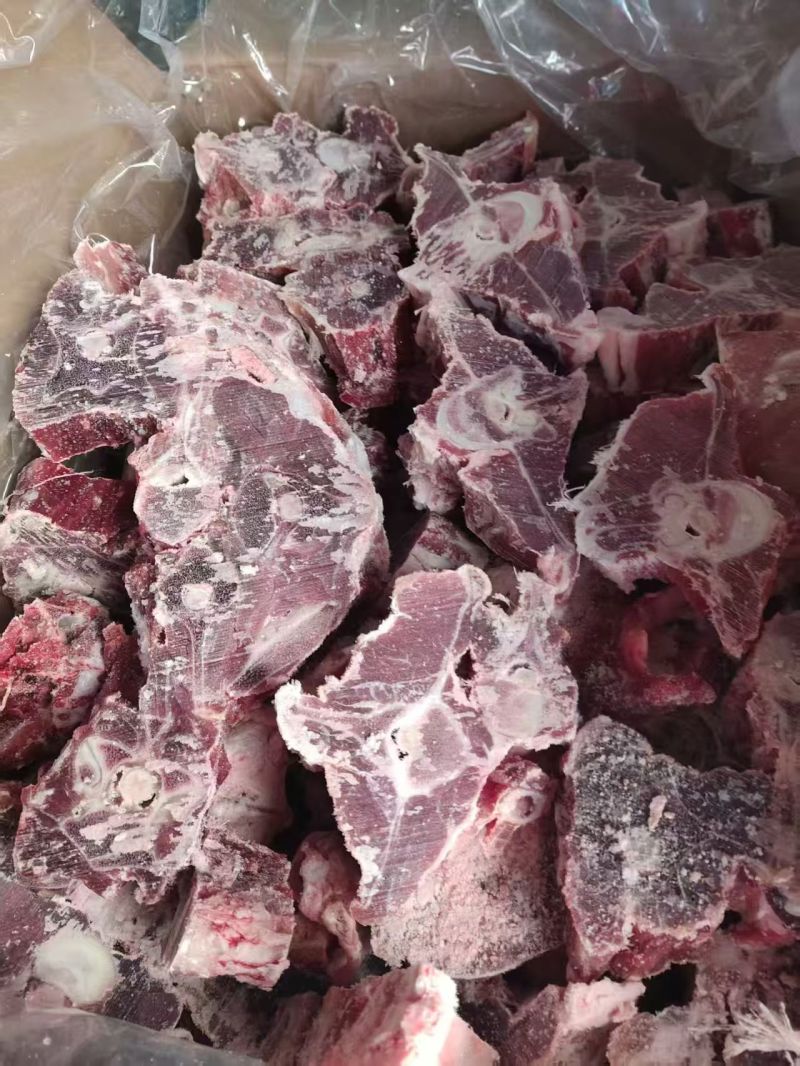 呼唤满肉羊蝎子