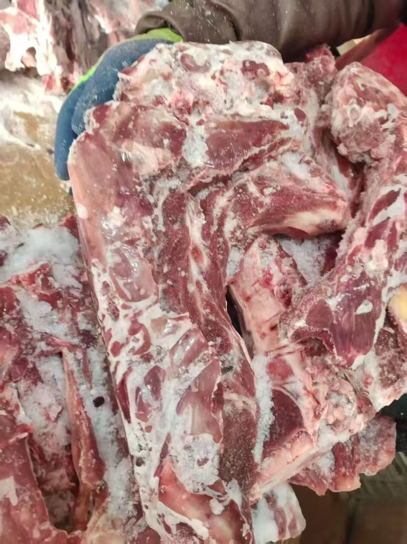 呼唤满肉羊蝎子