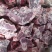 呼唤满肉羊蝎子