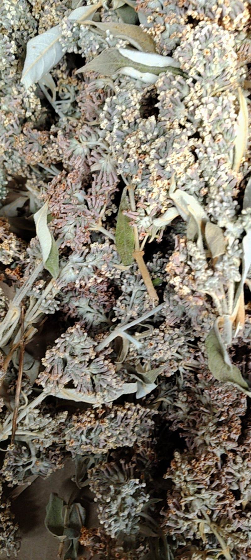 云南野生染饭花可染米饭中药材密蒙花可煲汤可以盆景可入药