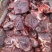 13厂满肉牛脖骨