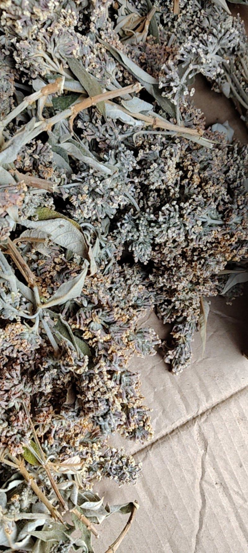 云南野生染饭花可染米饭中药材密蒙花可煲汤可以盆景可入药