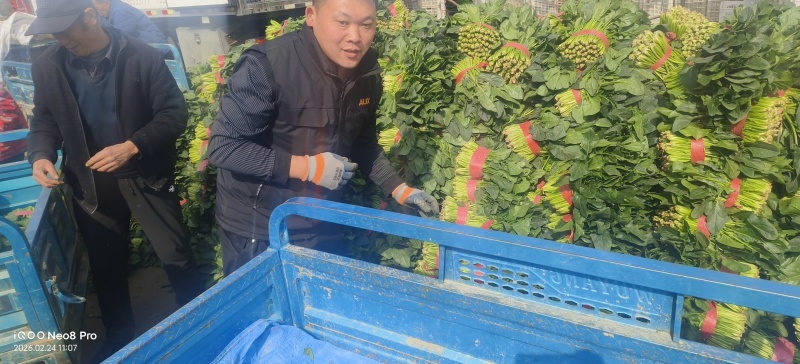 菠菜，上货量大，支持各种包装