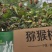 陕西核心产区绿心猕猴桃(翠香、徐香、金福）猕猴桃