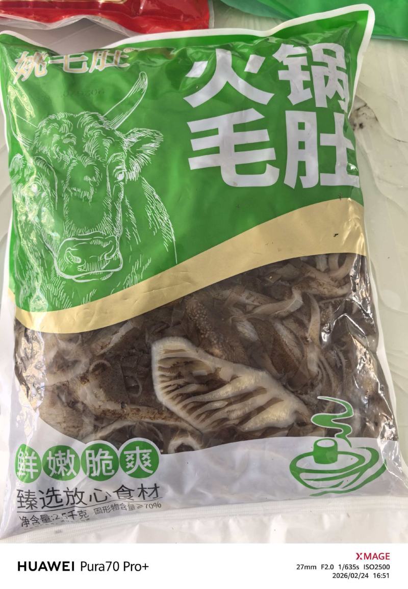 毛肚茶色黑千层
