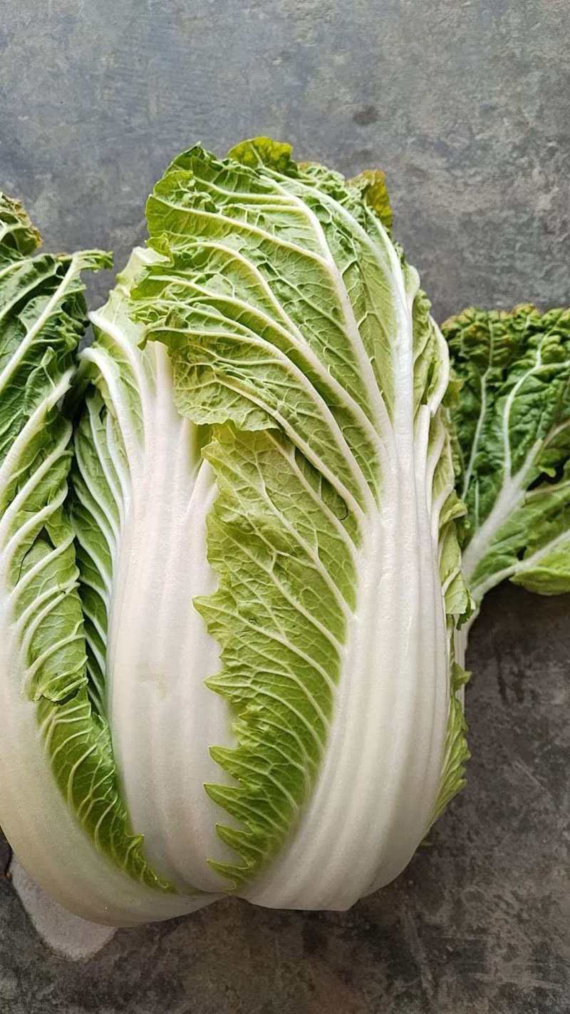 湖北白菜清甜可口价格美丽质量好走货快欢迎询价
