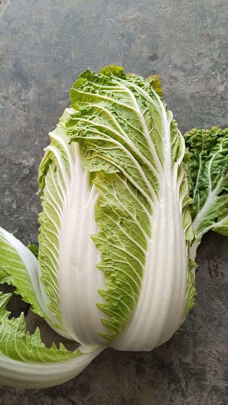 湖北白菜清甜可口价格美丽质量好走货快欢迎询价