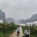 释迦果
