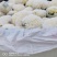 代收松花【松花菜】诚信经营，客户至上！共同发展。