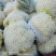 代收松花【松花菜】诚信经营，客户至上！共同发展。