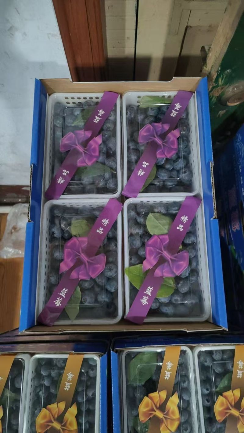 蓝莓山东蓝莓L25产地直供包装齐全协助装车欢迎电联