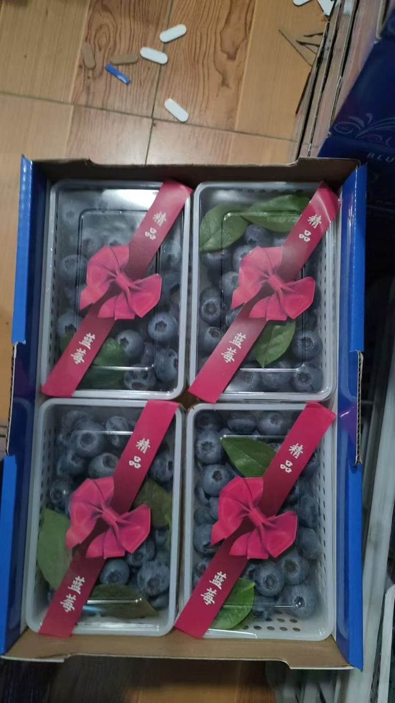 蓝莓山东蓝莓L25产地直供包装齐全协助装车欢迎电联