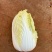 娃娃菜