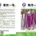 紫优一号长茄种子早熟耐热耐寒果长棒型南北方均可种植